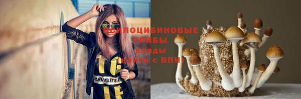 COCAINE Белокуриха