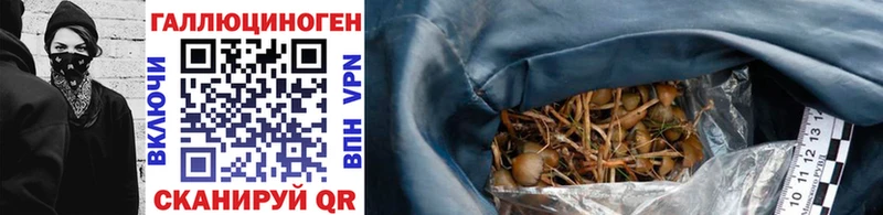 Галлюциногенные грибы прущие грибы  Горняк 